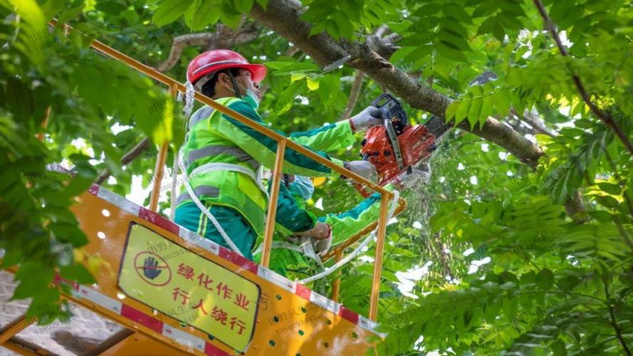 绿化景观色设计在大型活动场地的智能应用。