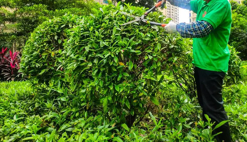 阿里地区着力深化沙化土地治理效能